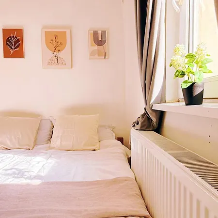 Alassio Cosy Bukarest
