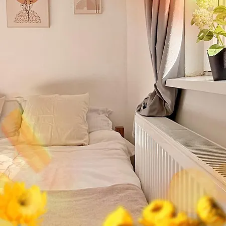 Alassio Cosy *